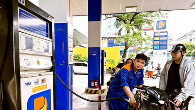 ສະມາຄົມລົດຍົນ ແລະ ລົດຈັກ ກ່າວແນວໃດກ່ຽວກັບຄວາມເຂົ້າກັນໄດ້ຂອງນໍ້າມັນແອັດຊັງ E10 ກັບລົດຮຸ່ນຕ່າງໆ?