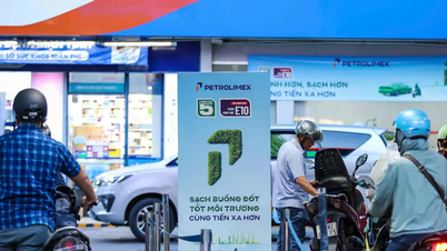Je biopalivo E10 skutečně tak „selektivní“, pokud jde o typy vozidel, jak se obávalo?