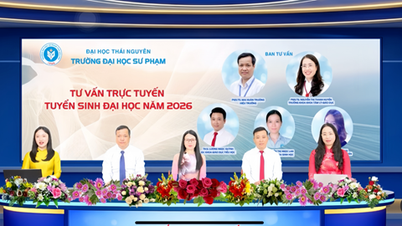 L'Università di Educazione Thai Nguyen sta organizzando un programma di consulenza online per le ammissioni ai corsi di laurea triennale nel 2026.