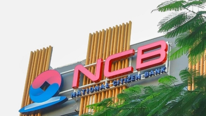 NCB 경영진이 주식을 일괄적으로 매입한 후 NVB 주가가 "상승세"를 보였다.