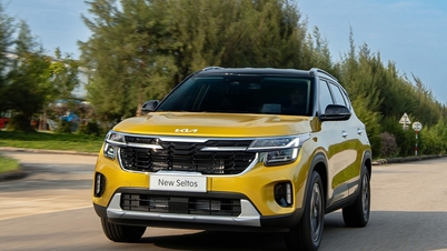 Najlepsze 5-osobowe SUV-y za mniej niż 600 milionów VND, które warto rozważyć w 2026 roku