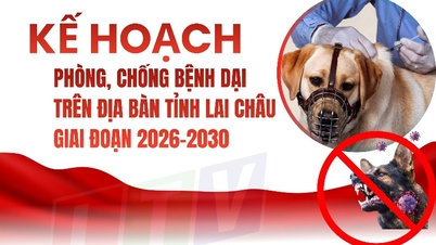 Rencana Pencegahan dan Pengendalian Rabies di Provinsi Lai Chau, 2026-2030