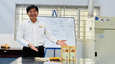 Die mit japanischer Technologie behandelten Cat-Chu-Mangos aus Dong Thap wurden sofort zu einem 3-Sterne-OCOP-Produkt.