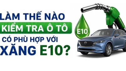 Aracımın E10 benziniyle uyumlu olup olmadığını nasıl kontrol edebilirim?