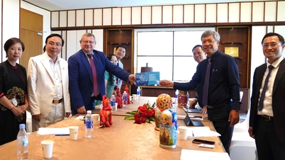 Promover la cooperación en materia de innovación entre Da Nang y la Federación Rusa.