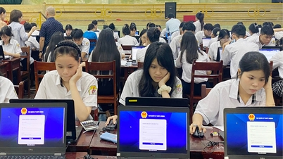 Focus on practical skills and logical thinking when preparing for computer science and technology exams.
