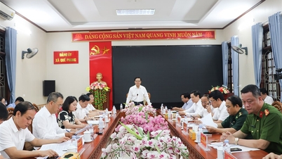 Președintele Comitetului Popular Provincial, Vo Trong Hai, a colaborat cu liderii comunelor Que Phong, Muong Quang, Thong Thu, Tien Phong și Tri Le.