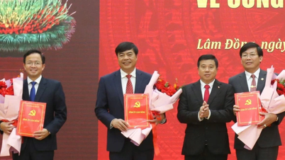 Lâm Đồng điều động, bổ nhiệm nhiều cán bộ chủ chốt