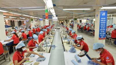 Opportunités pour les entreprises vietnamiennes sur le marché paraguayen.