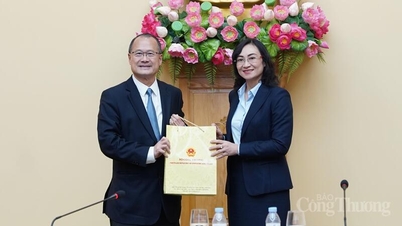 La vice-ministre Phan Thi Thang a reçu une délégation d'entreprises chinoises et a travaillé avec elles.