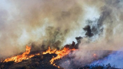 Peringatan risiko kebakaran hutan yang sangat tinggi telah dikeluarkan di beberapa wilayah.