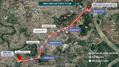 Ho Chi Minh-stad versnelt de voortgang van de uitbreidingsprojecten van de Hanoi-snelweg en de nationale snelweg 1.