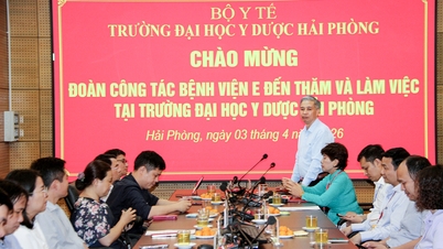 Universitatea de Medicină și Farmacie din Hai Phong promovează cooperarea în domeniul formării postuniversitare cu Spitalul E.