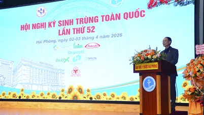 Universitatea de Medicină și Farmacie din Hai Phong a găzduit cu succes cea de-a 52-a Conferință Națională de Parazitologie.