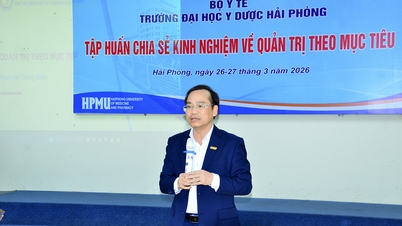 Universitatea de Medicină și Farmacie din Hai Phong colaborează și face schimb de experiență cu Universitatea de Medicină și Farmacie din Can Tho.