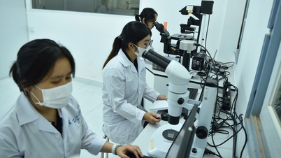 Penggunaan AI dalam penyelidikan mesti didedahkan dengan jelas dan tidak boleh melibatkan penciptaan data palsu.