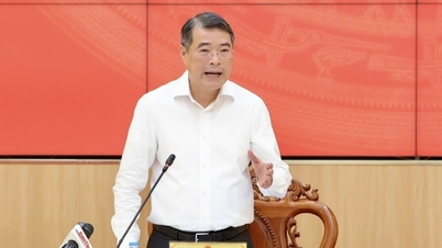 Der Premierminister forderte Can Tho auf, proaktiv konkrete Mechanismen und Strategien vorzuschlagen, um Durchbrüche zu erzielen.