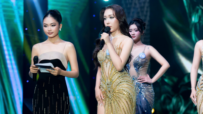 Druhá vicemistryně Tran Thu Hang a její cesta růstu od Miss Environment Vietnam 2026