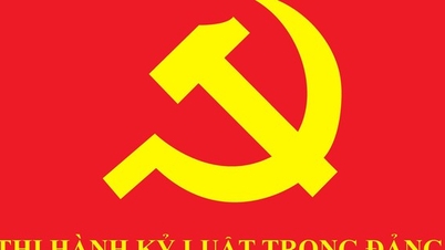 Das Zentralsekretariat der Partei beschloss, zwei führende Persönlichkeiten der Provinz Quang Ninh aus der Partei auszuschließen.
