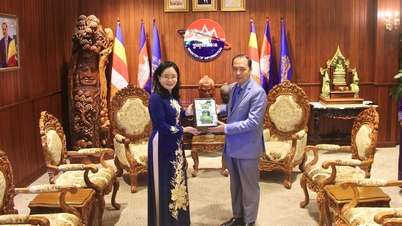 Vietnam siap mendukung Kamboja dalam pelatihan sumber daya manusia di sektor informasi.