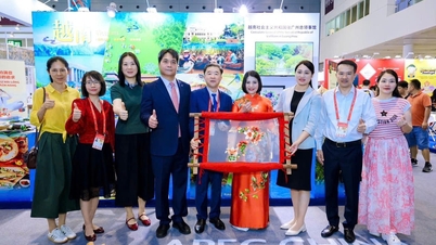 ផ្សព្វផ្សាយវប្បធម៌វៀតណាមនៅពិព័រណ៍ ICIF-22 ទីក្រុង Shenzhen។