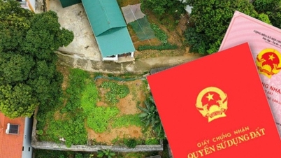 The Ministry of Agriculture and Environment clarifies the issue of revoking land ownership certificates after a portion of the land has been transferred.