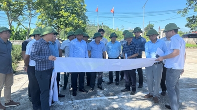 İl Halk Komitesi Başkan Yardımcısı Hoang Phu Hien, Vinh - Thanh Thuy Otoyolu Projesi için yapılan arazi temizleme çalışmalarını denetledi.