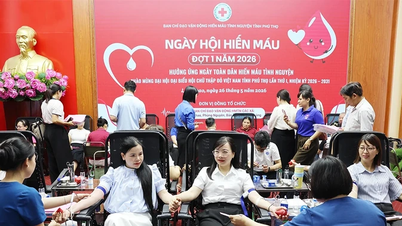 Foram coletadas 470 unidades de sangue no primeiro evento de doação de sangue de 2026.
