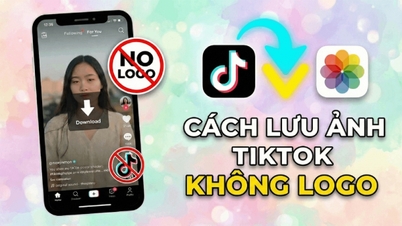 Il modo più semplice per salvare le foto scattate da TikTok sul tuo dispositivo senza filigrana.