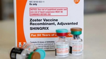 Se non trattato precocemente, l'herpes zoster può causare paralisi facciale e dolore persistente per anni.