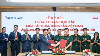 Viettel colaborează cu Petrolimex pentru a promova transformarea digitală și tranziția la energie verde.