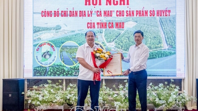 Geografische aanduiding "Ca Mau" aangekondigd voor bloedkokkelproducten