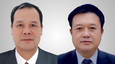 Le Comité central du Parti a expulsé Nguyen Duc Thanh et Diep Van Chien du Parti.