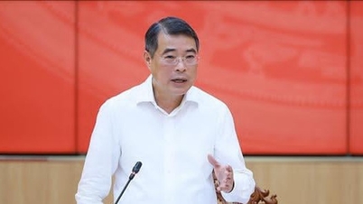 Premier Le Minh Hung: Can Tho musi skupić się na badaniu konkretnych mechanizmów wszechstronnego rozwoju.