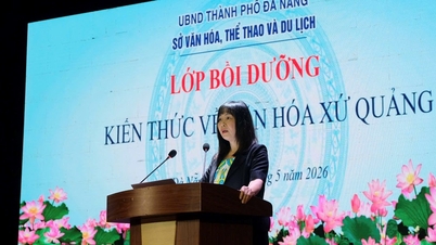 Prohloubení znalostí o kultuře a lidech provincie Quang Nam pro zaměstnance odboru kultury, sportu a cestovního ruchu města Da Nang.
