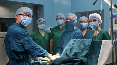 Surgery performed to save the hand of a man bitten by an eel in Con Dao.