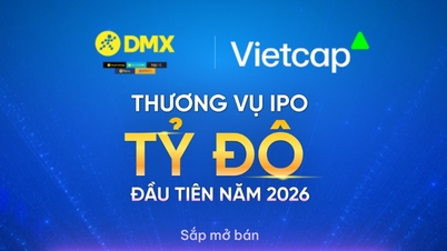 ດຽນໄມແຊນ (DMX) - ການສະເໜີຂາຍຫຸ້ນ IPO ຫຼາຍກວ່າ 179.5 ລ້ານຮຸ້ນ, ລາຄາຄາດວ່າຈະ 80,000 ດົ່ງ