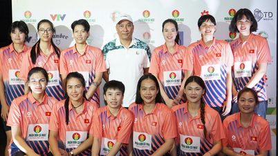 Thanh Thúy rejoint l'équipe féminine vietnamienne de volley-ball.