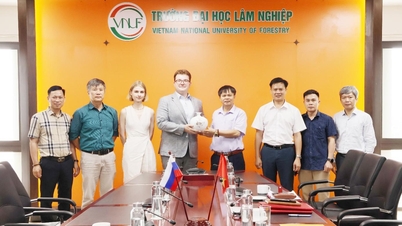 Rafforzamento della cooperazione in materia di formazione e ricerca scientifica con la Federazione Russa - Università forestale del Vietnam