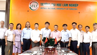 Rafforzare la cooperazione tra l'Università di Scienze Forestali e l'Università di Scienze Forestali di Nanchino, Cina - Università di Scienze Forestali