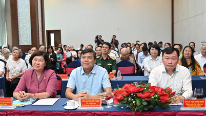 Ben Thanh Ward og Tan Dinh Ward opererer i praksis en todelt regjeringsmodell.