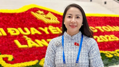 싱가포르에 거주하는 베트남 공동체 내에 민족적 자긍심과 사회 공헌에 대한 열망을 고취시키기 위함입니다.