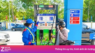 Ministero dell'Industria e del Commercio: Non sono pervenute lamentele in merito alla benzina E10.