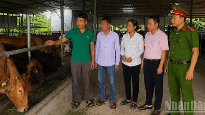 Membangkitkan harapan melalui kebijakan yang manusiawi di wilayah perbatasan Nghe An.