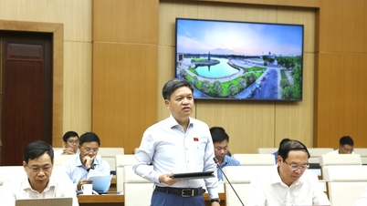 Pasukan tinjauan Jawatankuasa Sains, Teknologi dan Alam Sekitar telah bekerjasama dengan Jawatankuasa Rakyat wilayah Phu Tho.