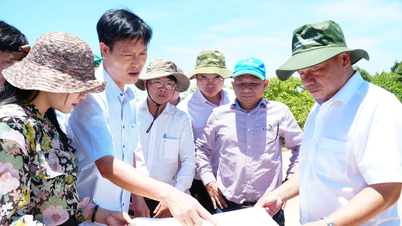 ຮອງປະທານຄະນະກຳມະການປະຊາຊົນແຂວງ ເຢືອງມາຕຽບ ໄດ້ກວດກາ ແລະ ຊຸກຍູ້ຄວາມຄືບໜ້າຂອງໂຄງການລ້ຽງໝູທີ່ເລີ່ມຕົ້ນໃໝ່.