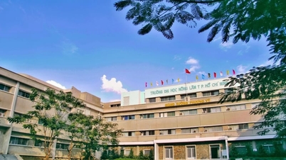 হো চি মিন সিটি কৃষি ও বনবিদ্যা বিশ্ববিদ্যালয়ে ৩ জন উপাচার্য নিয়োগ এবং নেতৃত্ব কাঠামো শক্তিশালীকরণ।