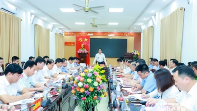 El presidente del Comité Popular Provincial, Vo Trong Hai, trabajó con los líderes de las comunas de Quy Chau, Chau Tien, Hung Chan y Chau Binh.