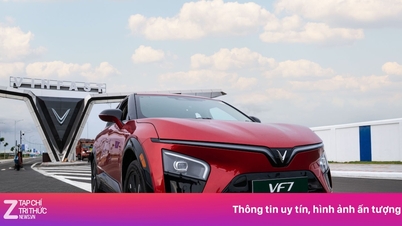 Vinfast câștigă premii importante la cele mai importante premii auto indiene.