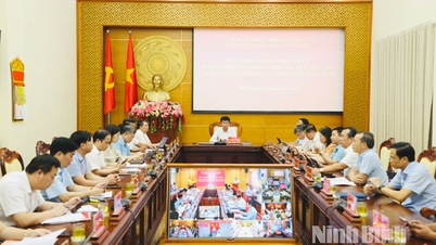 Online survey conference summarizing one year of operation of the overall organizational model of the political system and the two-tiered local government model.
